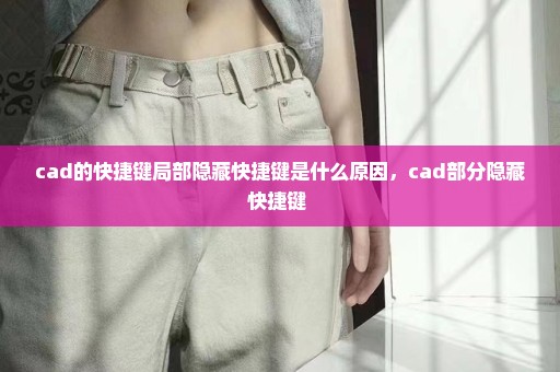 cad的快捷键局部隐藏快捷键是什么原因，cad部分隐藏快捷键 