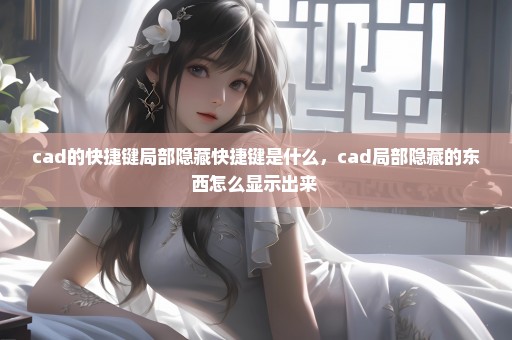 cad的快捷键局部隐藏快捷键是什么，cad局部隐藏的东西怎么显示出来 