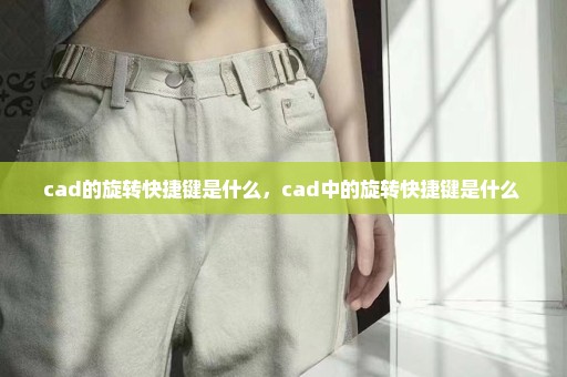 cad的旋转快捷键是什么，cad中的旋转快捷键是什么 