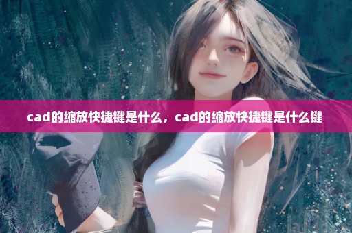 cad的缩放快捷键是什么，cad的缩放快捷键是什么键 