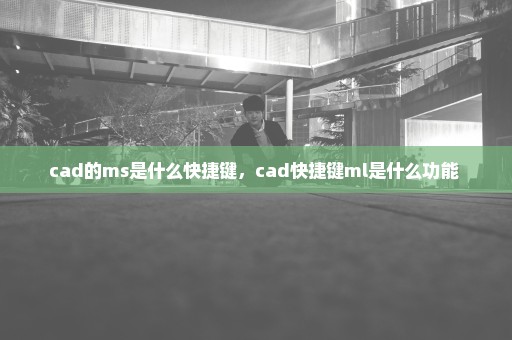 cad的ms是什么快捷键，cad快捷键ml是什么功能 