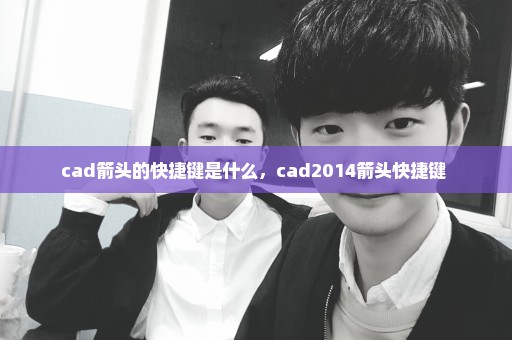 cad箭头的快捷键是什么，cad2014箭头快捷键 