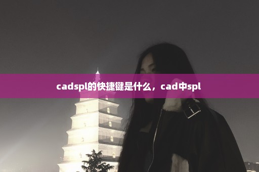 cadspl的快捷键是什么，cad中spl 