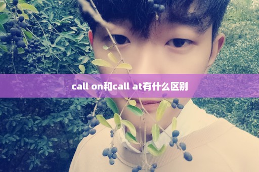 call on和call at有什么区别