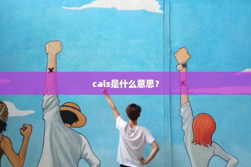 cals是什么意思？