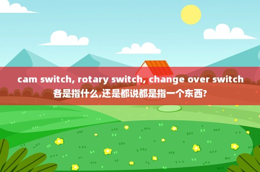 cam switch, rotary switch, change over switch各是指什么,还是都说都是指一个东西?