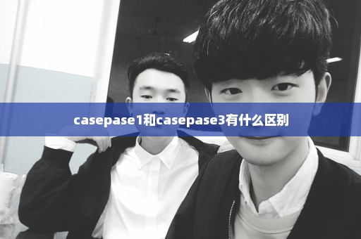 casepase1和casepase3有什么区别