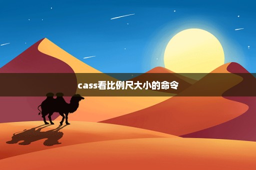 cass看比例尺大小的命令