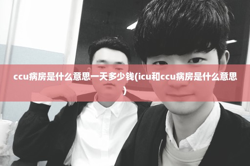 ccu病房是什么意思一天多少钱(icu和ccu病房是什么意思)