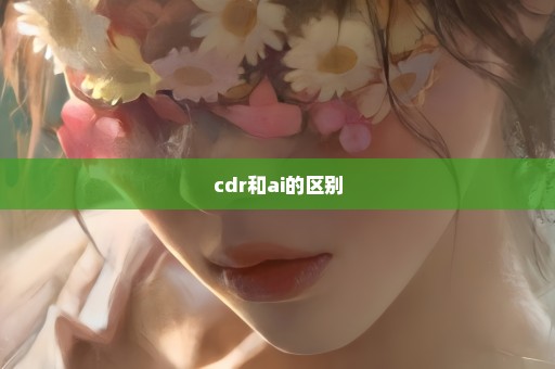 cdr和ai的区别