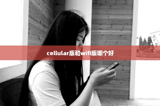 cellular版和wifi版哪个好