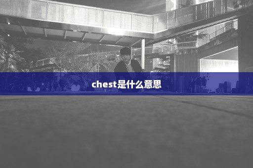 chest是什么意思