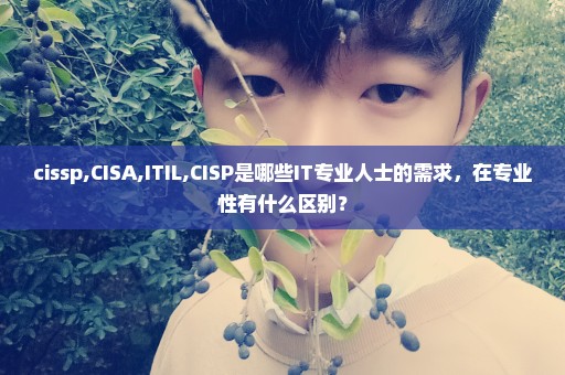 cissp,CISA,ITIL,CISP是哪些IT专业人士的需求，在专业性有什么区别？