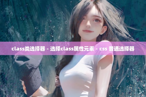 class类选择器 - 选择class属性元素 - css 普通选择器