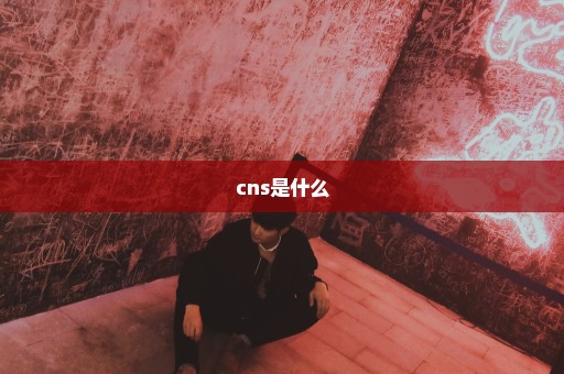 cns是什么