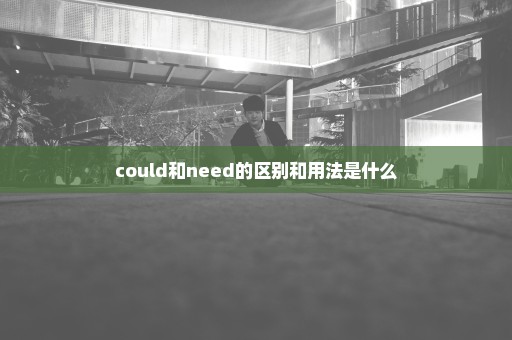 could和need的区别和用法是什么