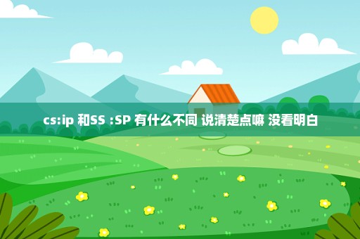 cs:ip 和SS :SP 有什么不同 说清楚点嘛 没看明白