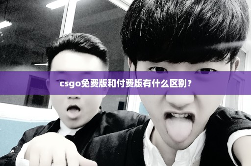 csgo免费版和付费版有什么区别？