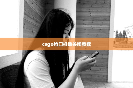 csgo枪口抖动关闭参数