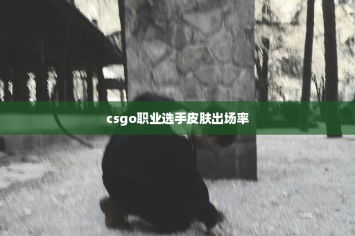 csgo职业选手皮肤出场率