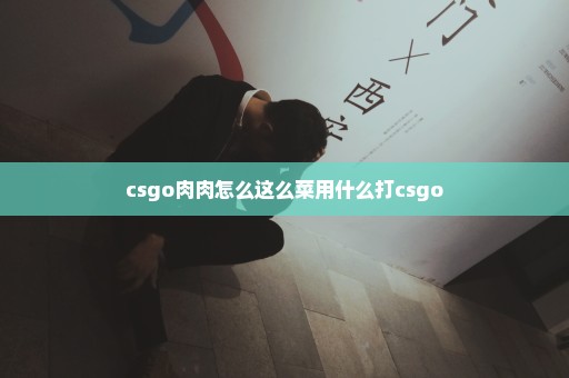 csgo肉肉怎么这么菜用什么打csgo