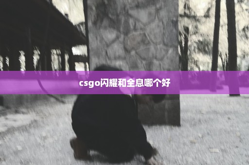 csgo闪耀和全息哪个好