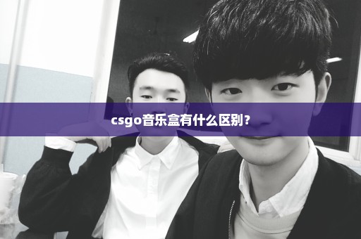 csgo音乐盒有什么区别？