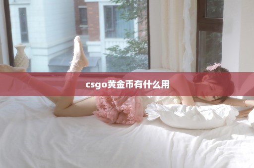 csgo黄金币有什么用