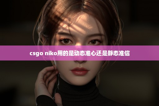 csgo niko用的是动态准心还是静态准信