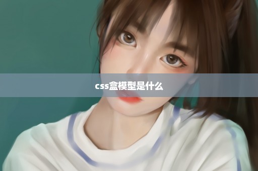 css盒模型是什么