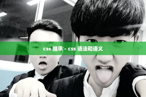 css 继承 - css 语法和语义