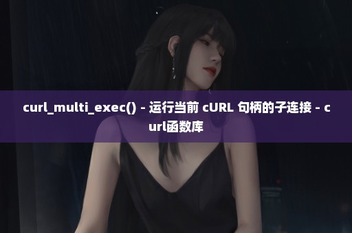 curl_multi_exec() - 运行当前 cURL 句柄的子连接 - curl函数库