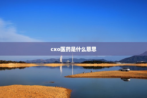 cxo医药是什么意思