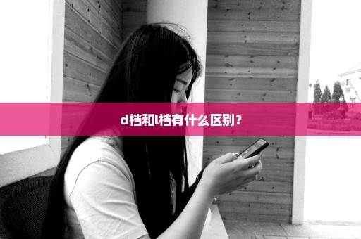 d档和l档有什么区别？