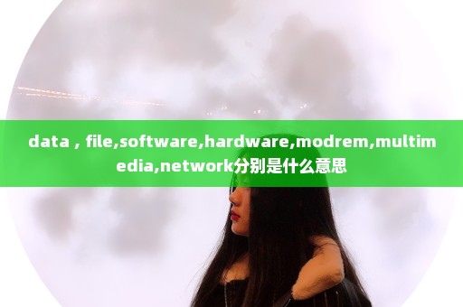 data , file,software,hardware,modrem,multimedia,network分别是什么意思