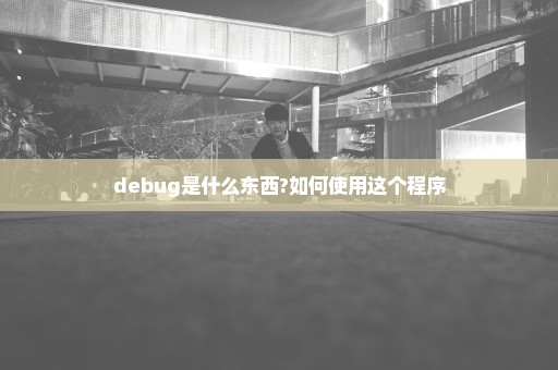 debug是什么东西?如何使用这个程序