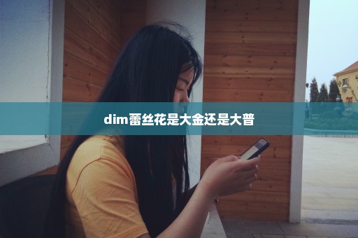 dim蕾丝花是大金还是大普