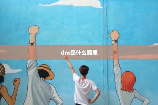 dm是什么意思