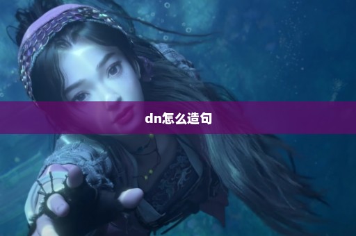 dn怎么造句