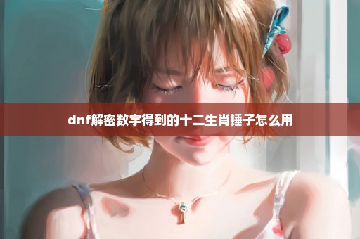 dnf解密数字得到的十二生肖锤子怎么用