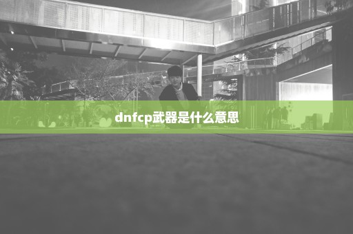 dnfcp武器是什么意思