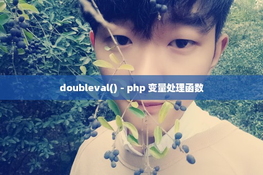 doubleval() - php 变量处理函数