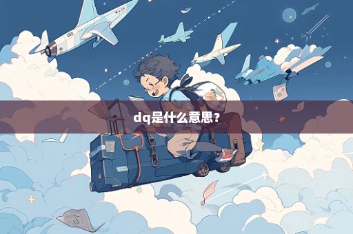 dq是什么意思？