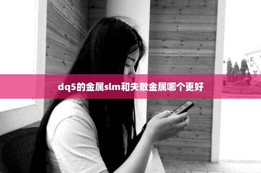 dq5的金属slm和失散金属哪个更好