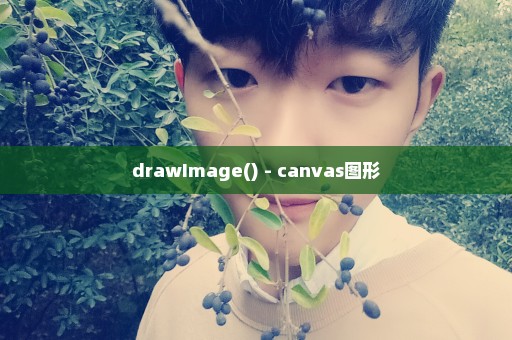 drawImage() - canvas图形