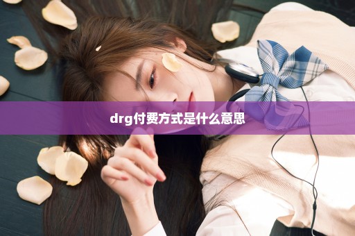 drg付费方式是什么意思