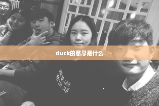 duck的意思是什么