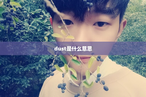 dust是什么意思