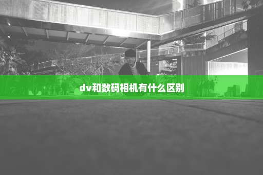 dv和数码相机有什么区别