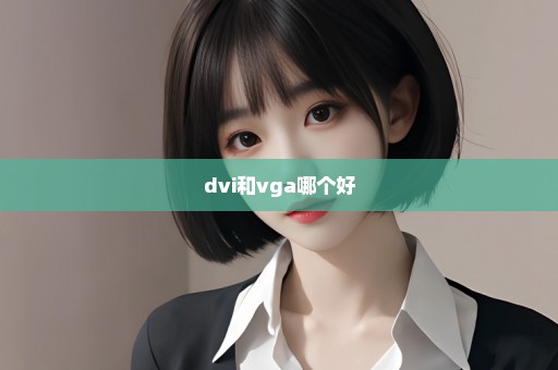 dvi和vga哪个好